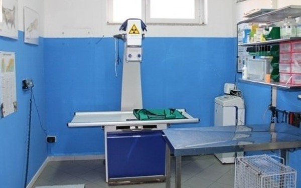 Ambulatorio Veterinario AlfaVet - Arzachena -  Tel. 078982197 - Visite e Interventi Chirurgici su Cani