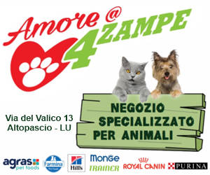 Amore a 4 Zampe