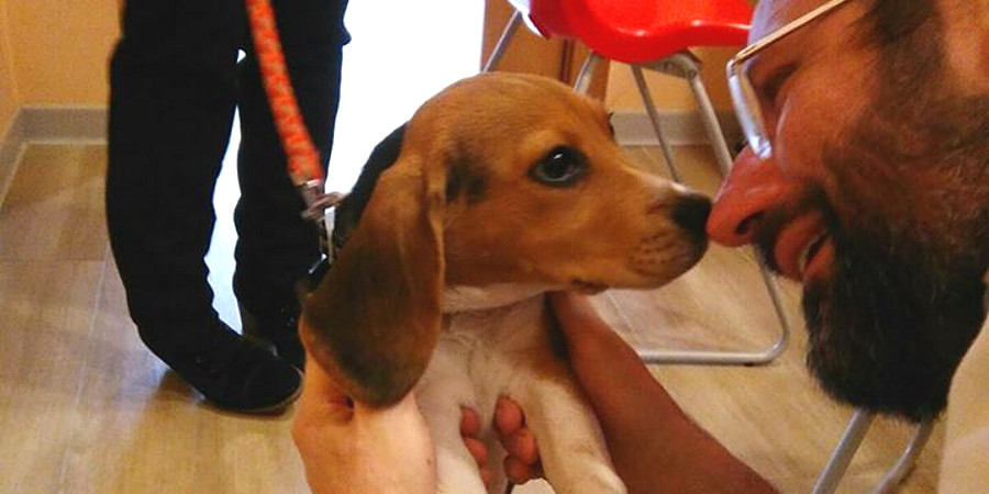 Clinica Veterinaria del Naviglio - Dott. Fabio Claudio Grassi a Vimodrone Milano