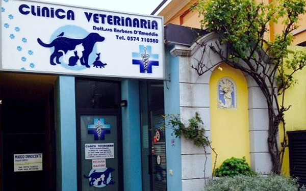 Clinica Veterinaria Dott.ssa Barbara D'Amaddio - Agliana (PISTOIA) - Tel. 0574710580 - Ambulatorio Veterinario Consigliato da TuttoCani.it