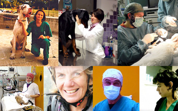 Clinica Veterinaria Dott.ssa Barbara D'Amaddio - Agliana (PISTOIA) - Tel. 0574710580 - Lo Staff Medici Veterinari della Clinica