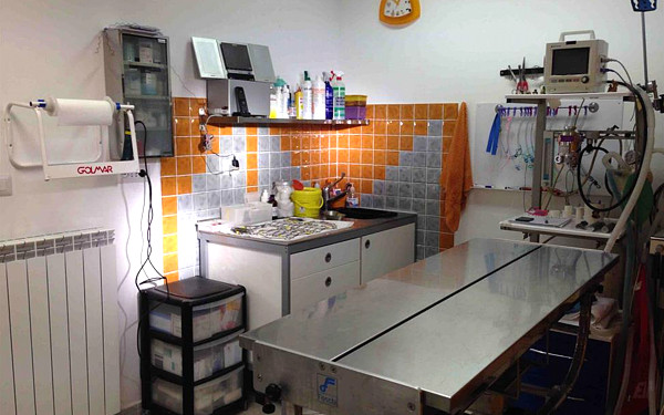 Clinica Veterinaria Dott.ssa Barbara D'Amaddio - Agliana (PISTOIA) - Tel. 0574710580 - Sala Operatoria per interventi chirurgici su Cani, Gatti e Animali Esotici