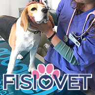 Studio Veterinario FISIOVET