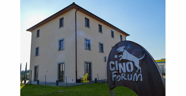 Studio Veterinario FISIOVET Massa e Cozzile di Montecatini Terme (Pistoia) -  Tel. 057278179 - Veterinari e Fisioterapisti per animali Consigliato da TuttoCani.it