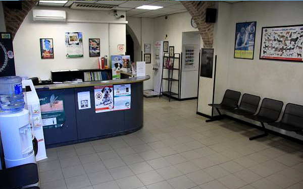 Ospedale Veterinario Ardenza (LIVORNO) - Tel. 0586504403 - Sala Aspetto